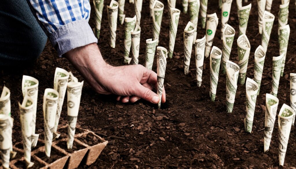 A man plants money in a lush green field, symbolizing growth and investment in a prosperous future