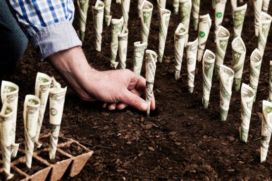 A man plants money in a lush green field, symbolizing growth and investment in a prosperous future